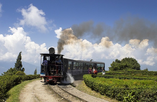 darjeeling-g36100b468_640